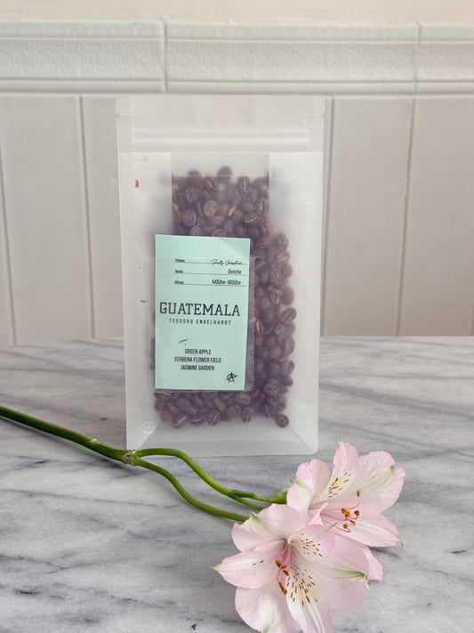 ACID COFFEE｜GUATEMALA｜Teodoro Engelhardt